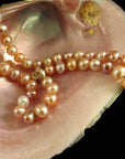 Freshwater Pearl Collection