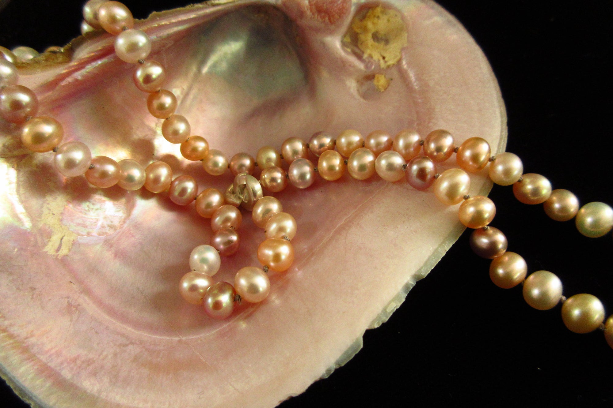 Freshwater Pearl Collection